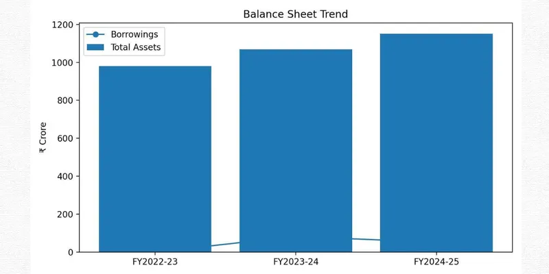 AMBIKA COTTON MILLS LTD FINANCIAL AND BUSINESS ANALYSIS REPORT
